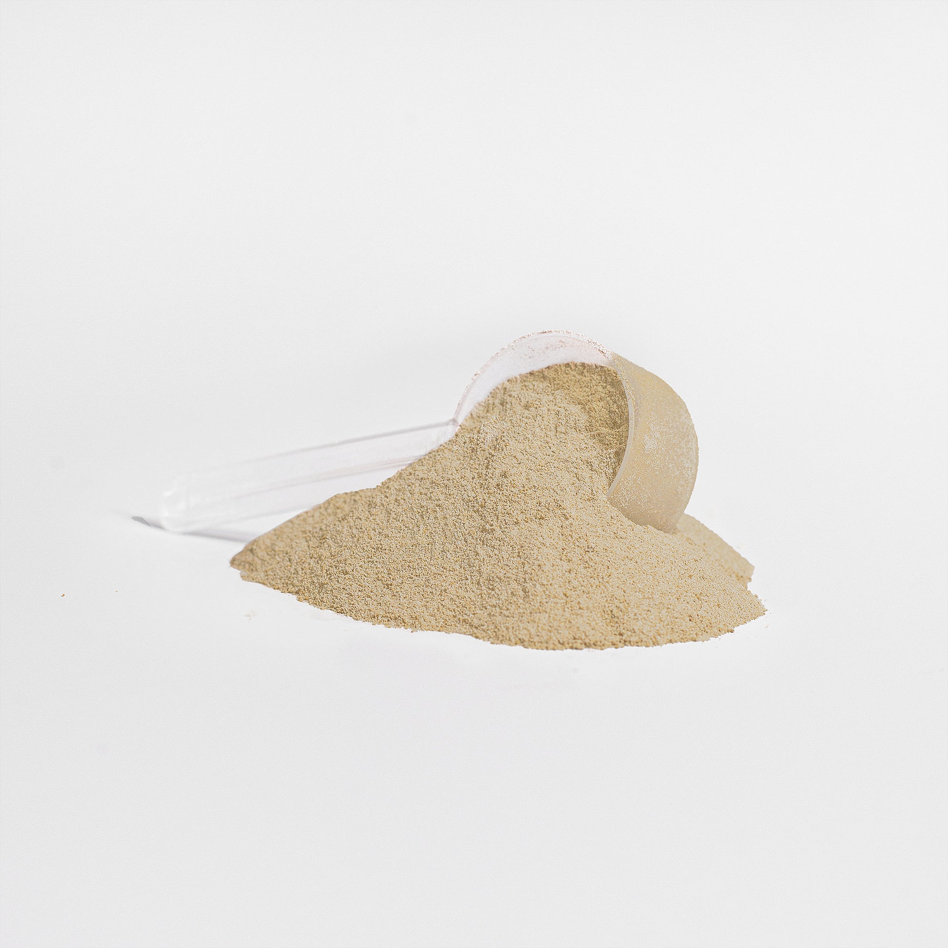 SUPPLI-X Advanced 100% Whey Protein Isolate (Vanilla) - Suppli-X Fuel Your Edge