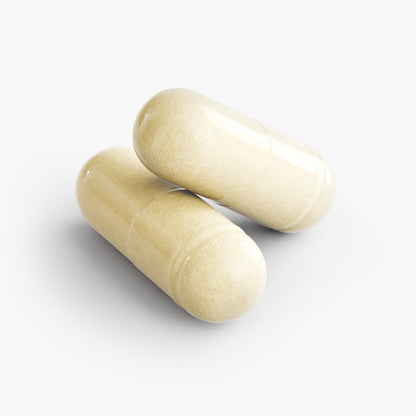 SUPPLI-X Cognitive Support | Bacopa, Alpha GPC & Huperzine A | 30 Capsules