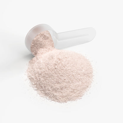 SUPPLI-X Hydration Powder | Electrolytes & B Vitamins | Passion Fruit | 162g
