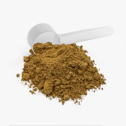 SUPPLI-X instant mushroom coffee powder with scoop – product detail